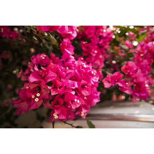 Lente Viltrox AF 13mm f/1.4 E, APS-C, para Sony E