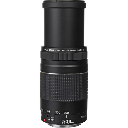 Lente Canon EF 75-300mm f/4-5.6 III – Fotoacces
